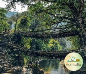 Double Decker Living Root Bridge