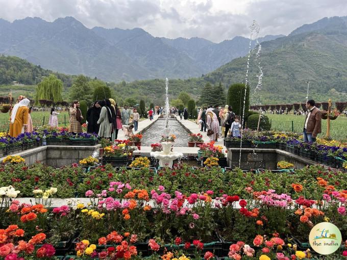 Indira Gandhi Memorial Tulip Garden