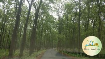 Jim Corbett National Park