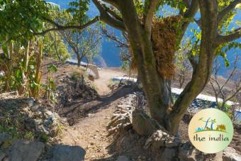 Nag Tibba Trek
