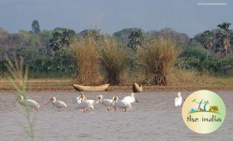 Pitti Bird Sanctuary