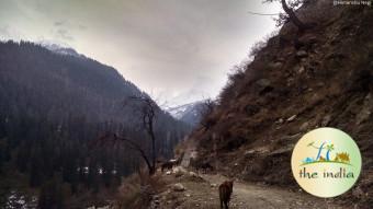 Kasol