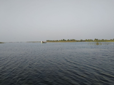 Nal Sarovar