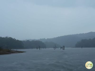 Periyar Lake