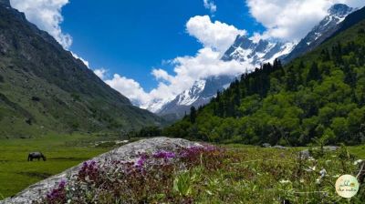 Har Ki Dun Valley