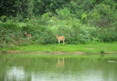 Van Vihar National Park