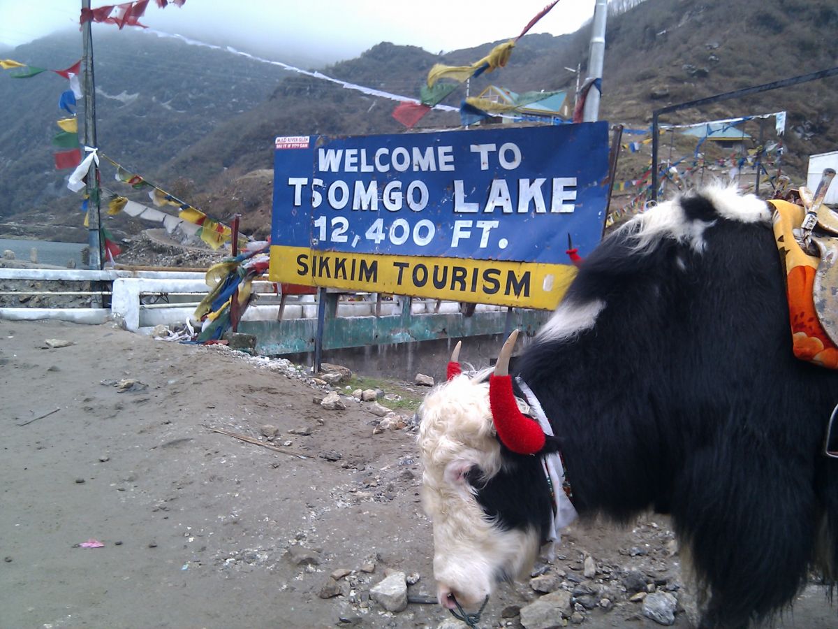 Tsomgo Lake Gangtok