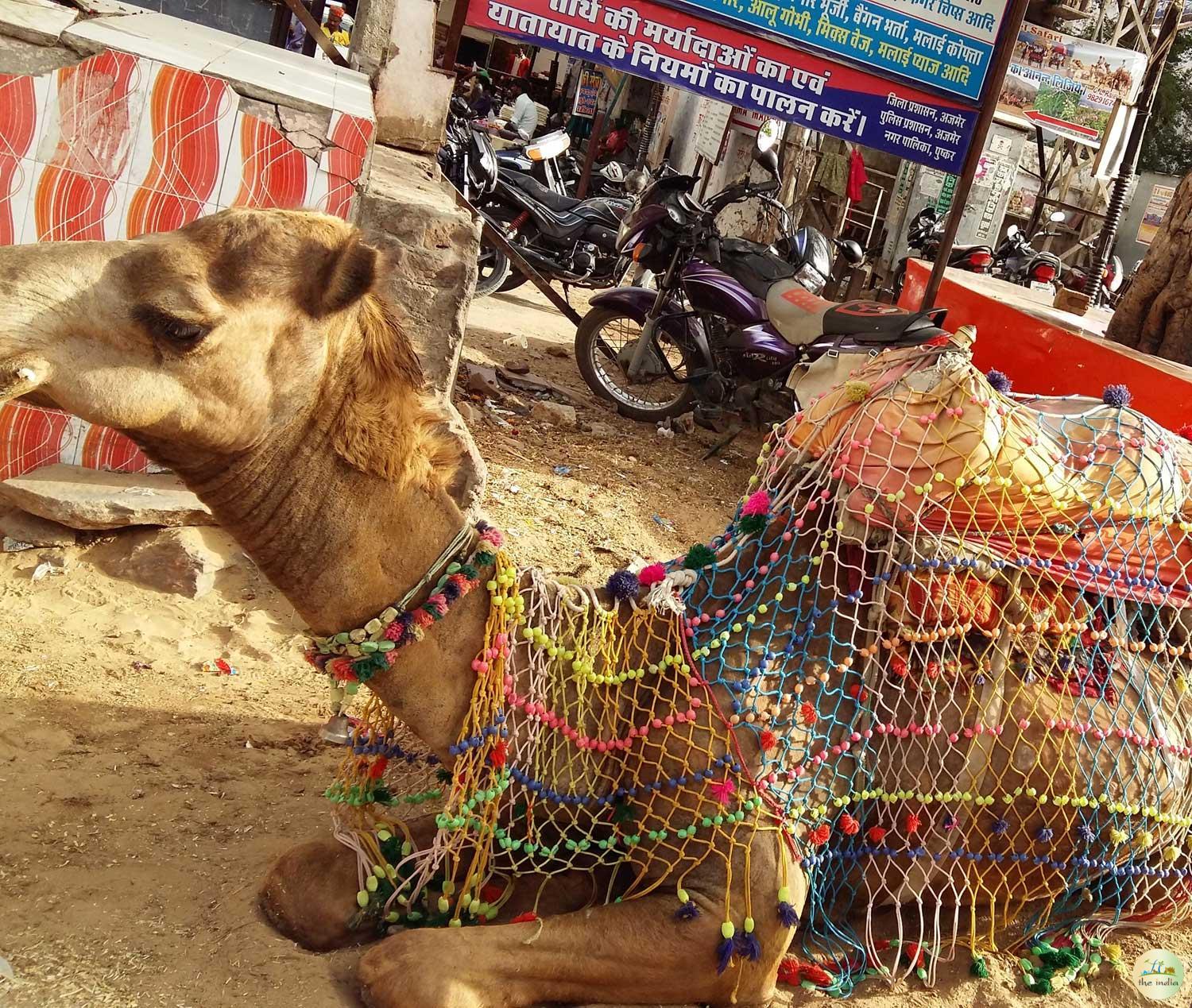 Ajmer & Pushkar - Sightseeing and Travel Guide