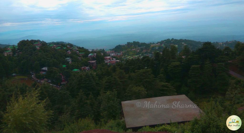 Dharamkot to Naddi Trek: A Perfect Nature Walk