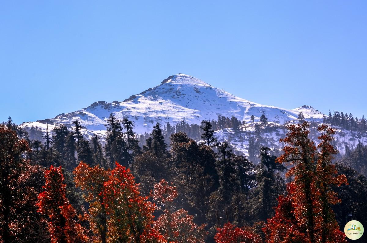 Kedarkantha Trek - An Ultimate Snow Summit in the Lap of the Himalayas