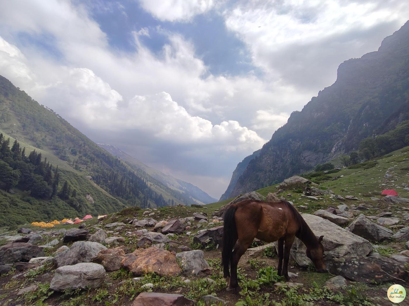 Manali trek with Friends