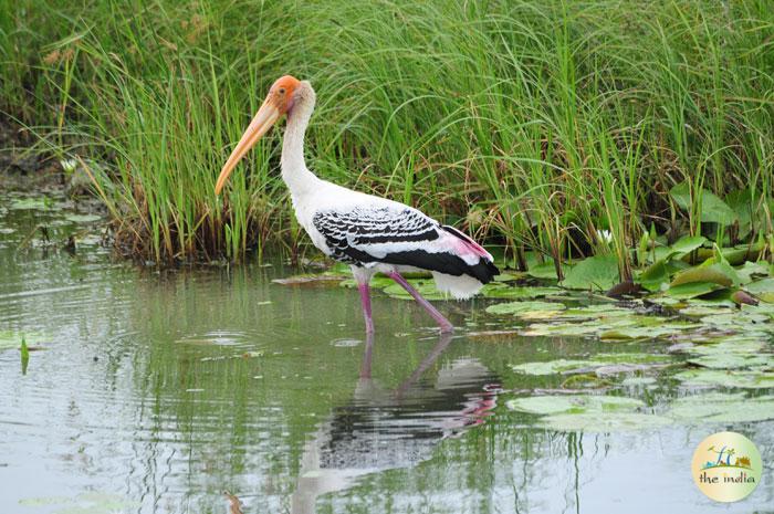 My Solo Road Trip to Dwarka – The Other Side of the Holy City of Gujarat My Solo Road Trip to Dwarka – The Other Side of the Holy City of Gujarat