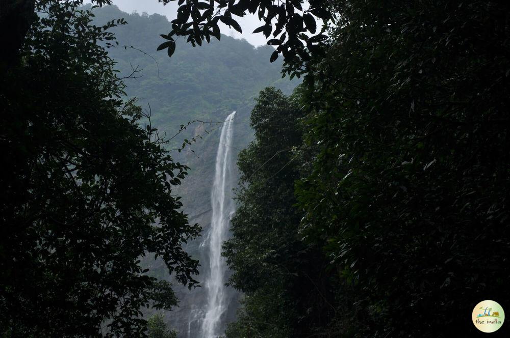 Trekking Experience to Beautiful Belligundi (Kudumari) Waterfalls Through Dense Forest Trekking Experience to Beautiful Belligundi (Kudumari) Waterfalls Through Dense Forest