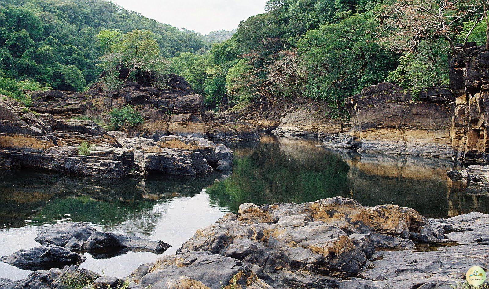 Trekking Through the Mhadei Wildlife Sanctuary - A Memorable Adventure!